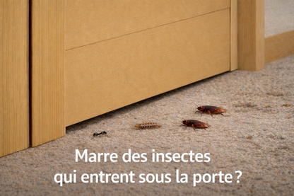 Bande auto adhésive pour bas de porte – Anti insectes et poussière